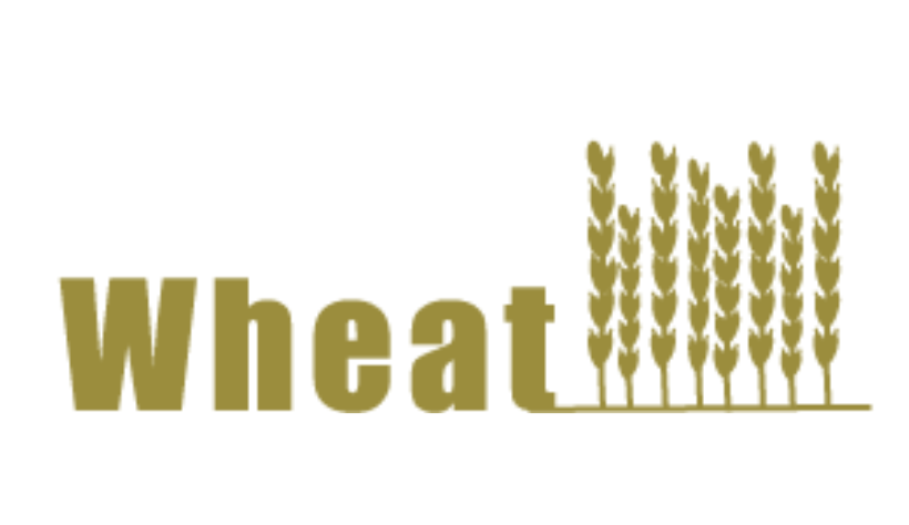 Wheat Accounting